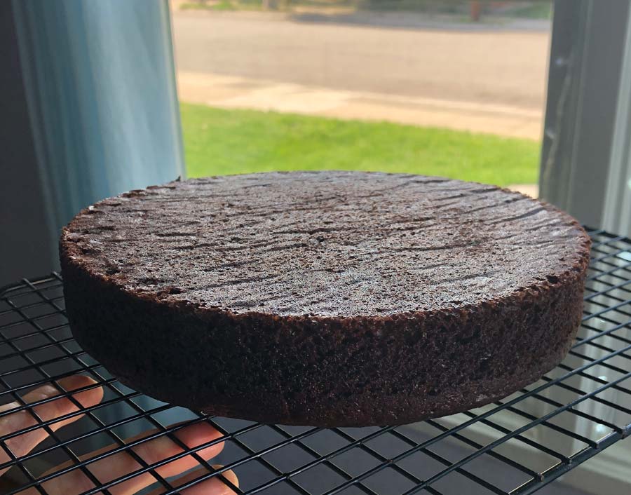 one layer of baked vegan chocolate cake