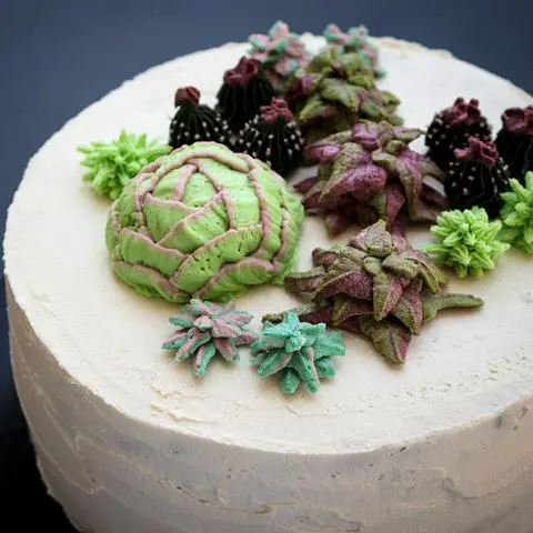 closeup of the succulents on the vegan cake