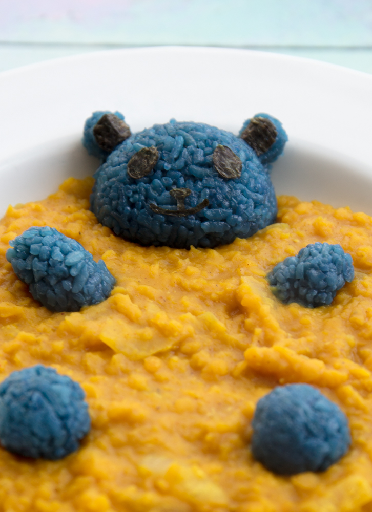 Vegan Dal Blanket covering a blue rice bear