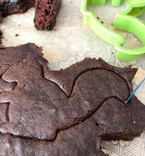 Vegan Squirrel Brownies