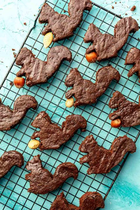 Vegan Squirrel Brownies