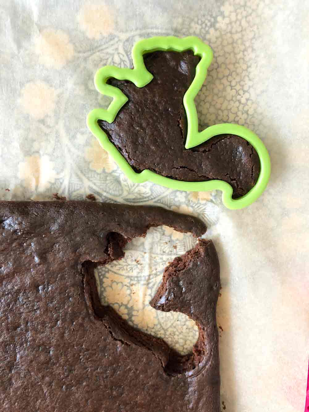 Vegan Squirrel Brownies