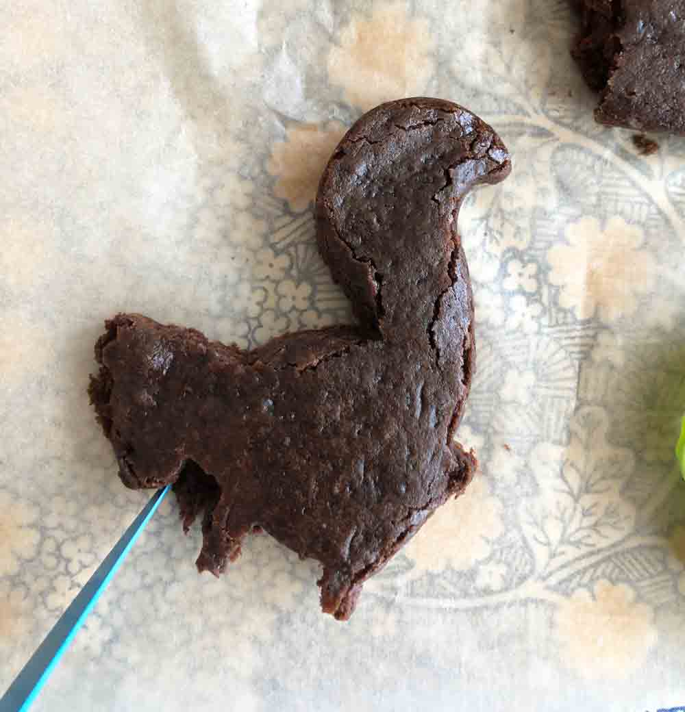 Vegan Squirrel Brownies