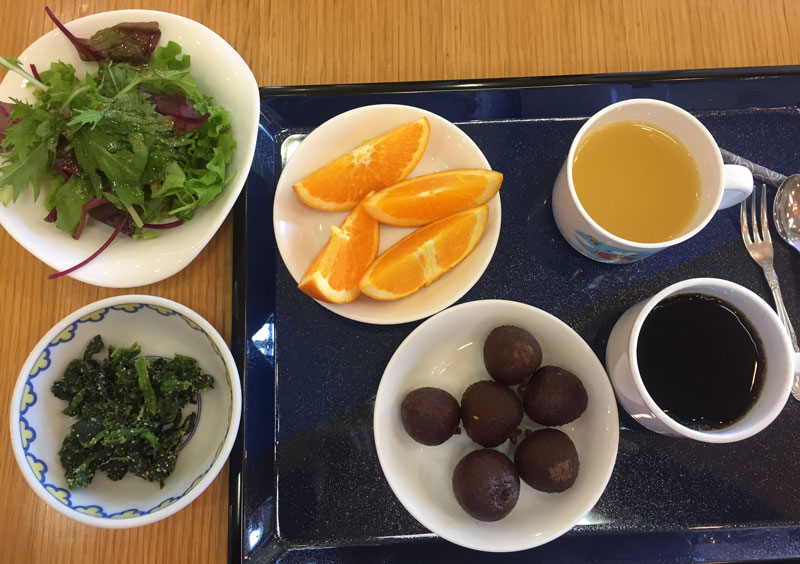 okunoshima island hotel vegan food