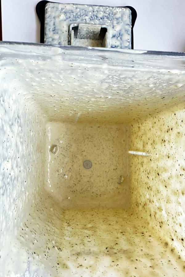 the caesar dressing is blended and ready to store or serve
