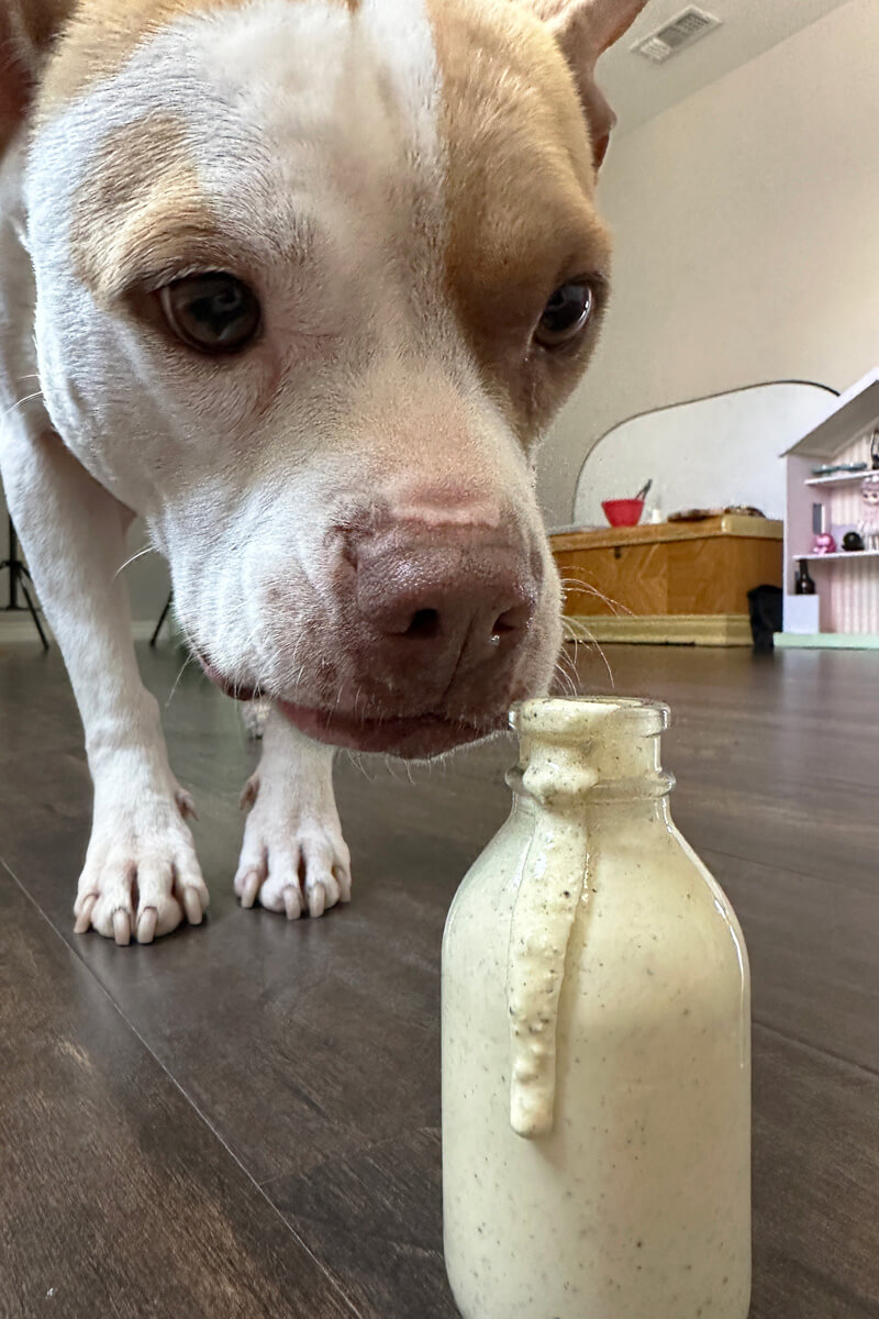 macchiato is checking out the caesar dressing