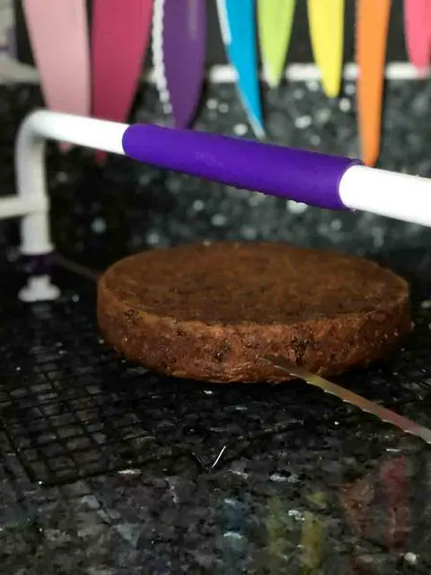 slicing the vegan carrot cake