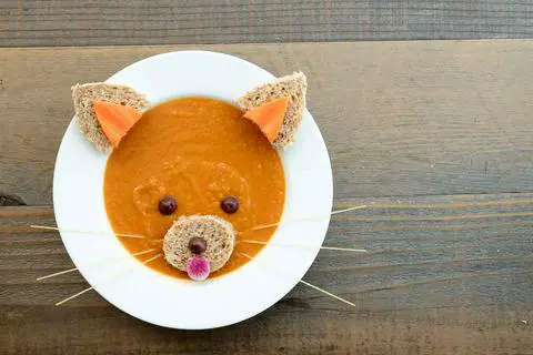 Vegan Red Panda Carrot Miso Soup