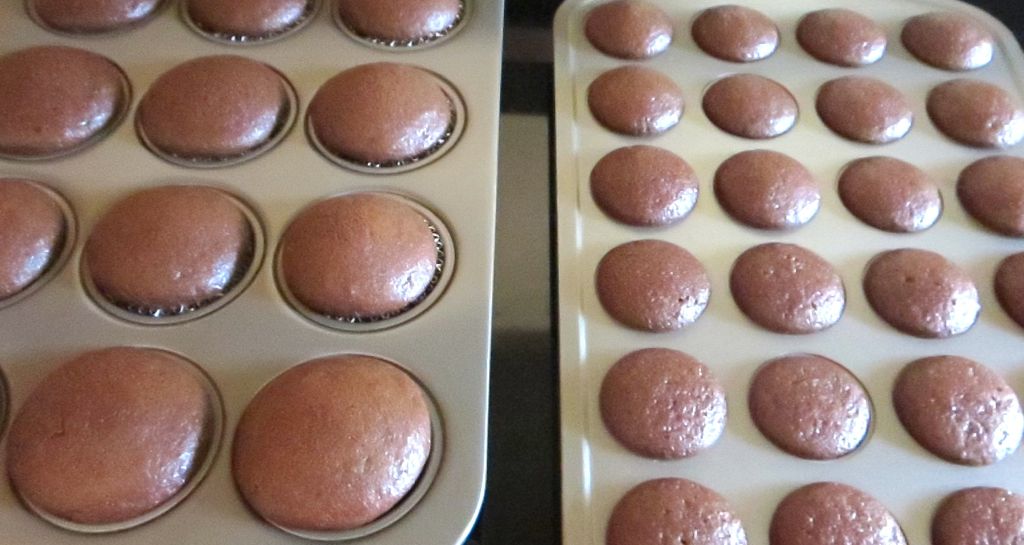 chocolate snickerdoodle cupcakes