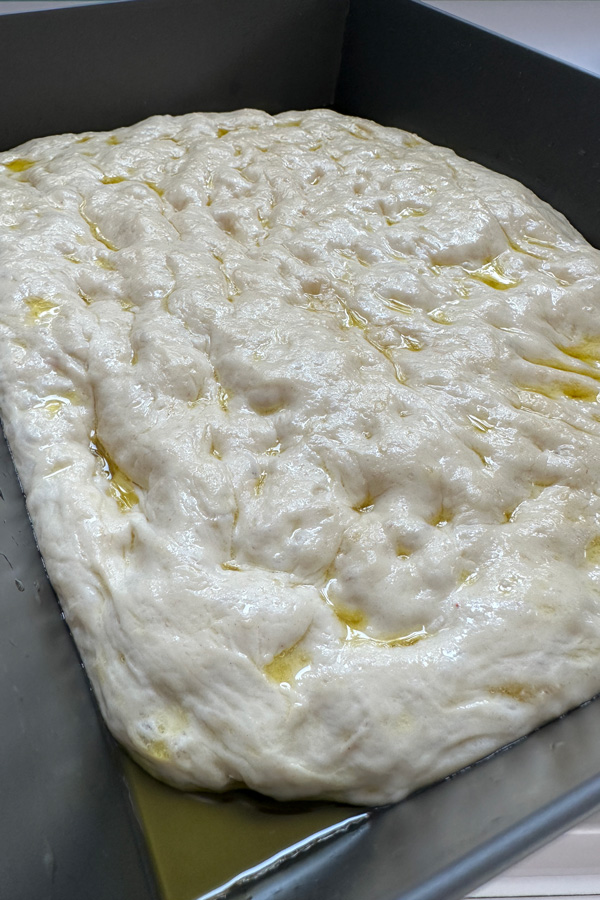 vegan focaccia-style detroit pizza dough ready to rise