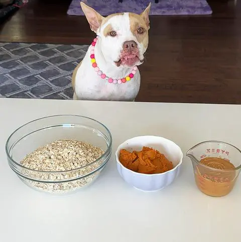 the 3 ingredients in bowls with a cute pup behind them.