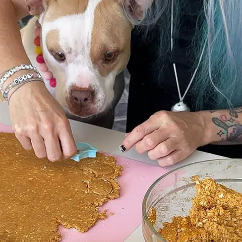 cutting mini cat shaped dog treats out of rolled out dough with a cute doggie watching.