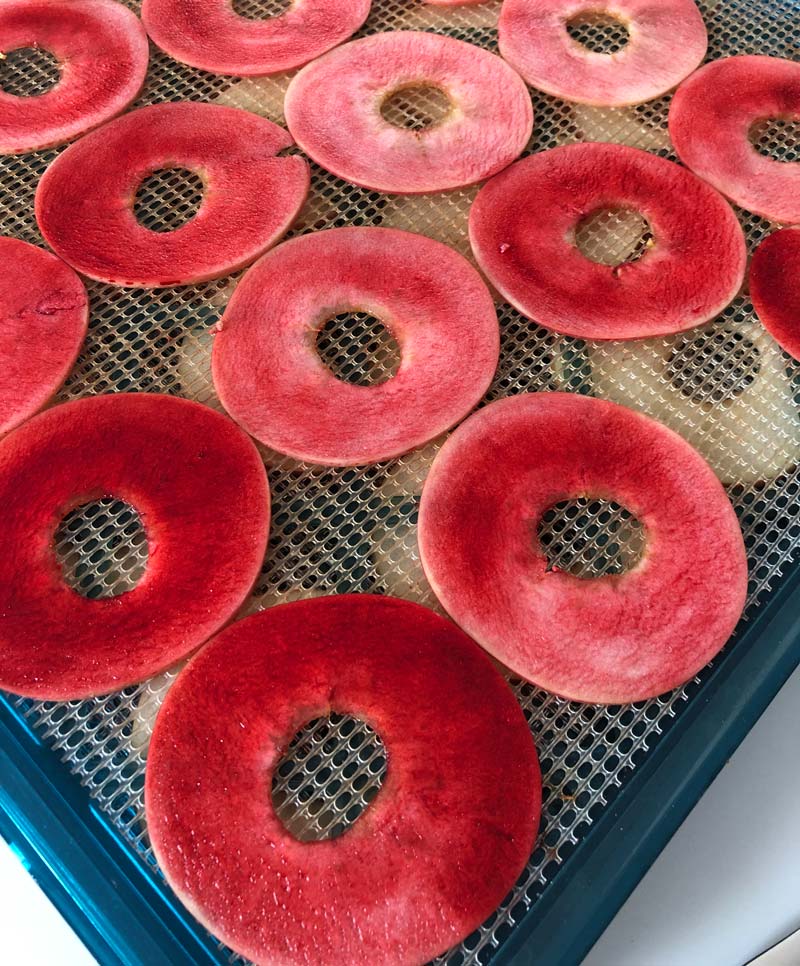 apple rings on a dehydrator tray painted red with all-natural food coloring