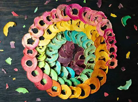 a spiral of dehydrated rainbow apple chips