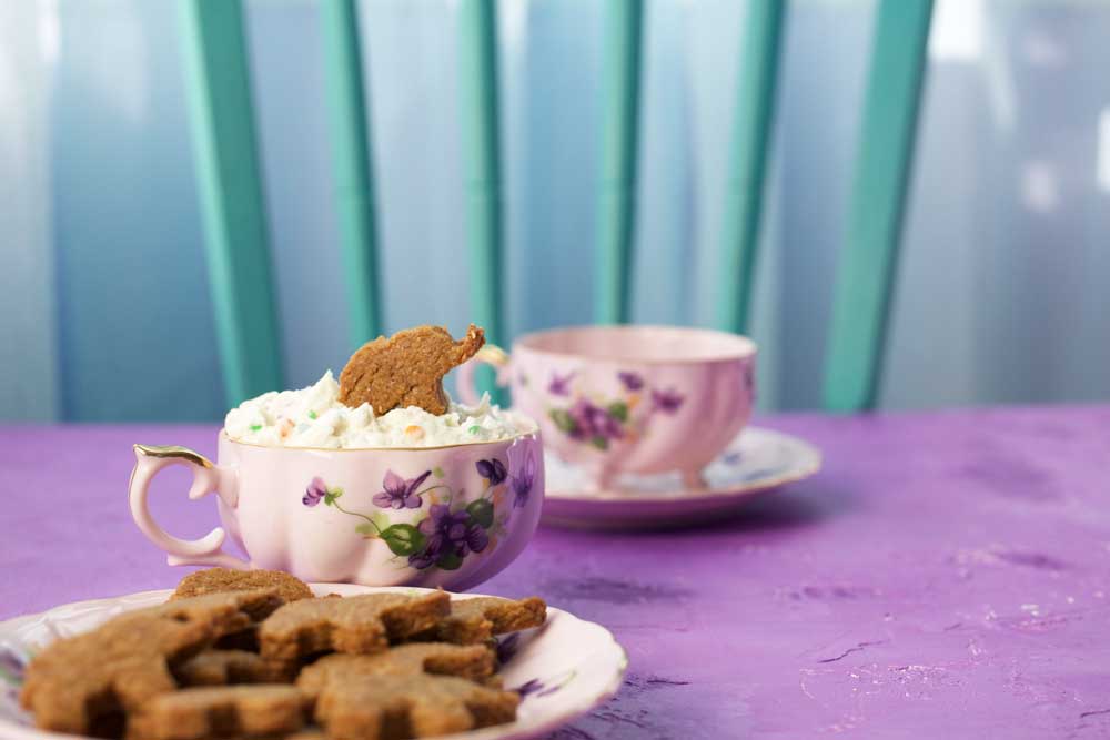 vegan elephant dunkaroos with funfetti dip