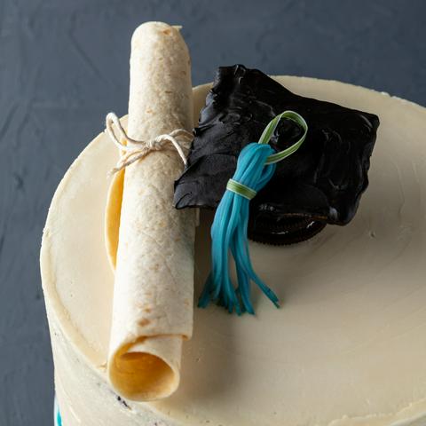 https://vegandollhouse.com/images/graduation-cake/graduation-cake-square-480w.jpg