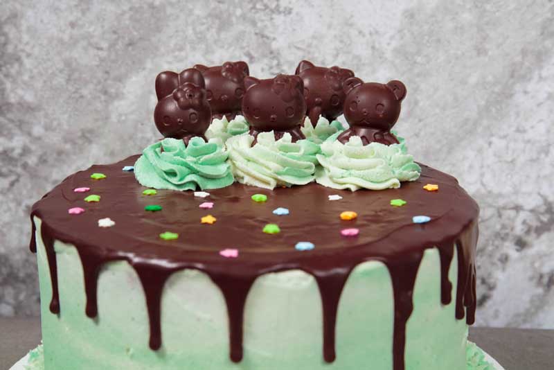 vegan grasshopper cake with hello kitty chocolate mints