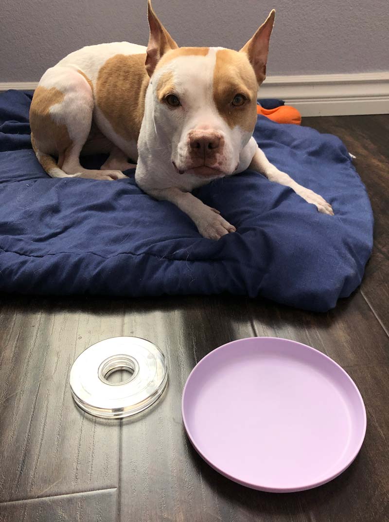 supplies needed for this diy lazy susan