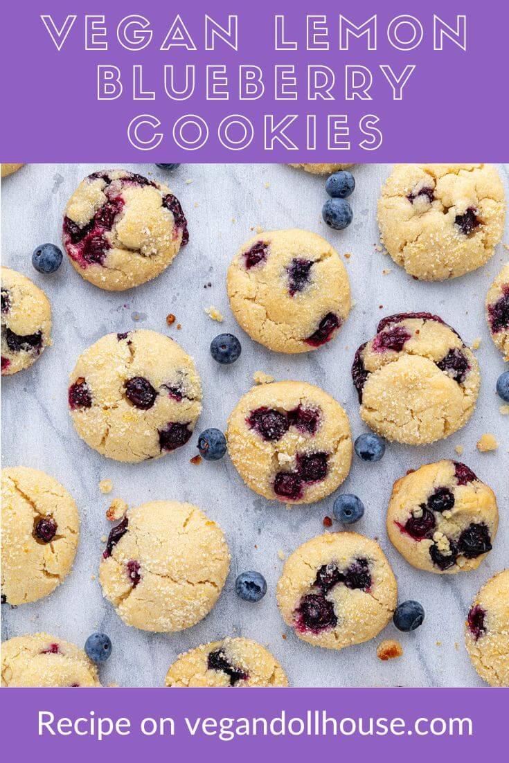 Vegan Dollhouse - Lemon Blueberry Cookies