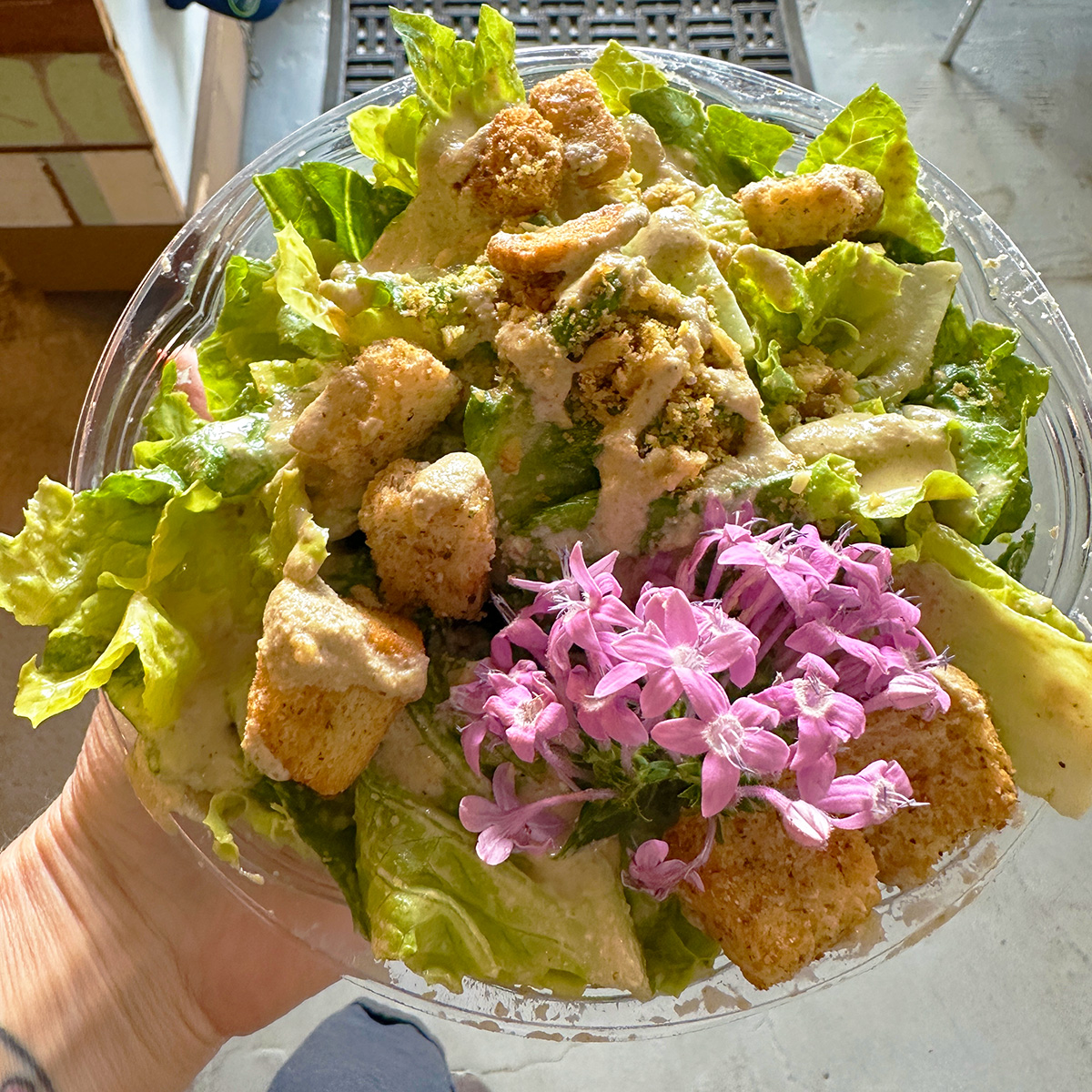 vegan caesar salad from A`A Roots in Lahaina in Maui.