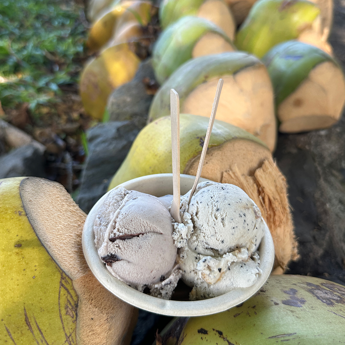 2 scoops of vegan ice cream.