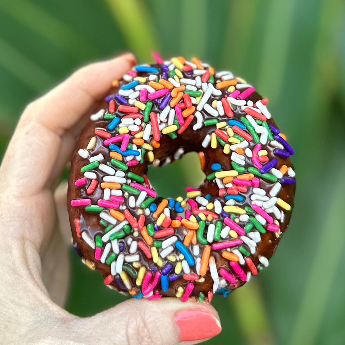 holding a vegan donut with chocolate glaze and rainbow sprinkles.