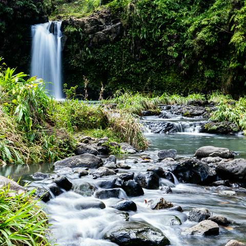 one of the many waterfalls on the Road to Hana in Maui