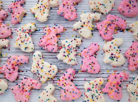 vegan mother's bunny cookies