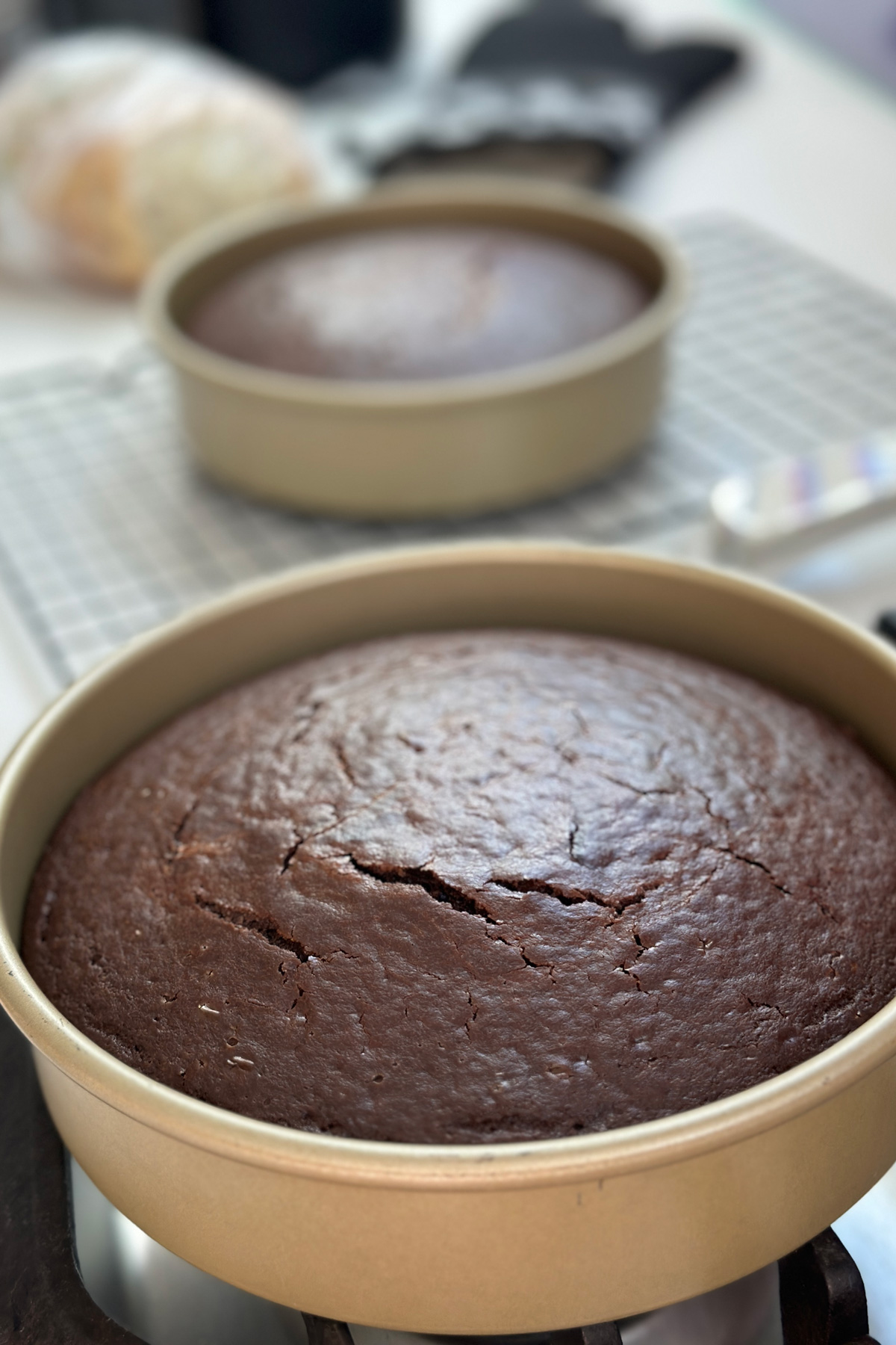 2 vegan chocolate cakes fresh out of the oven