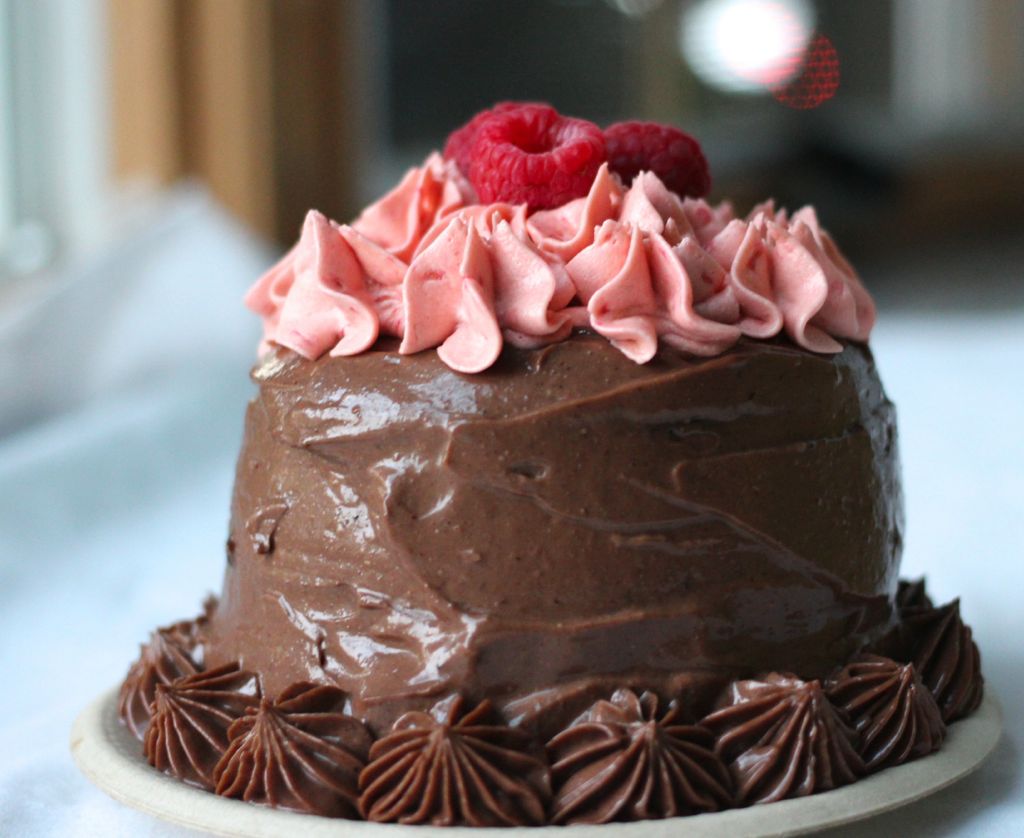 vegan mini nutella raspberry cake