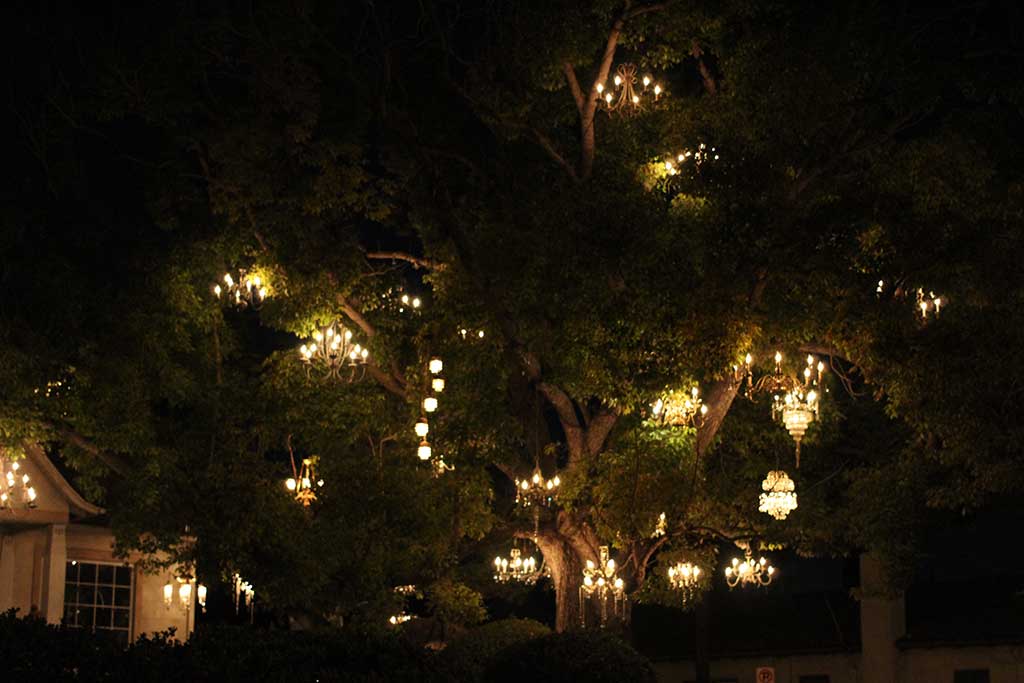 tree with chandeliers