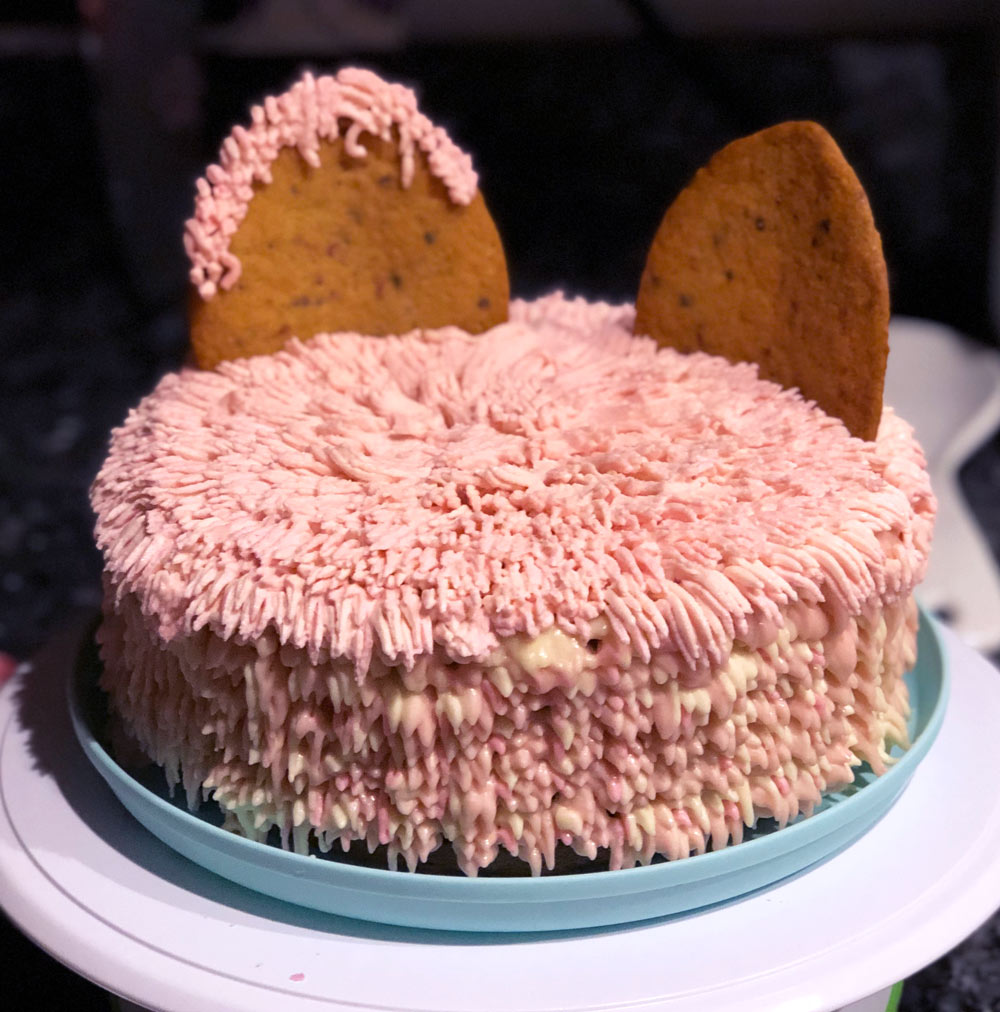 vegan puppy girl holding her vegan pumpkin spice puppy birthday cake