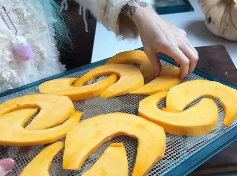 Loading up a dehydrator tray with peeled slices of pumpkin.