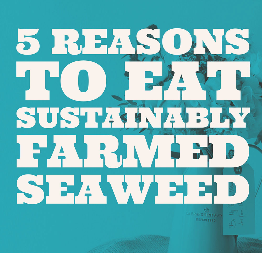 5 reasons to eat sustainably farmed seaweed