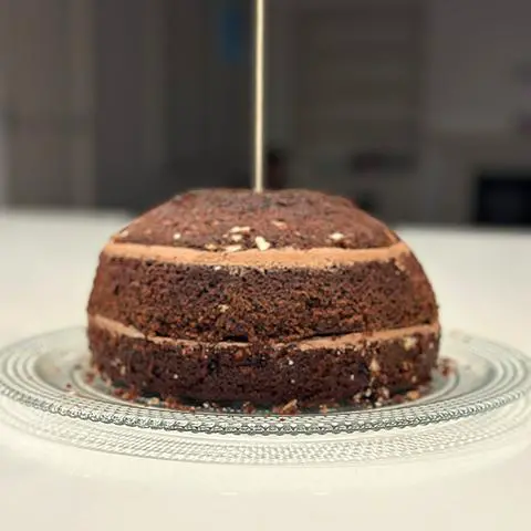 3-layer vegan chocolate cake carved into a turtle shell shape.