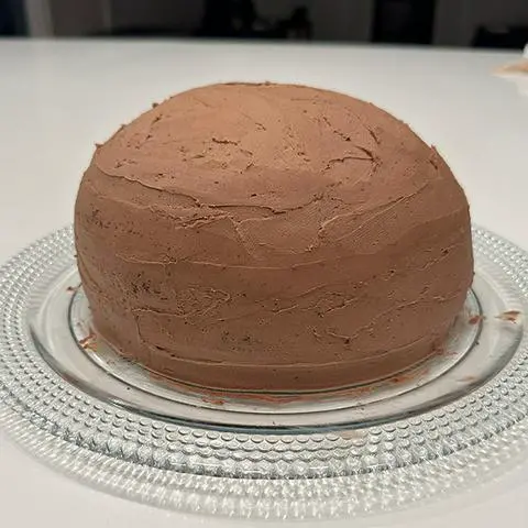 cake covered in vegan chocolate frosting.