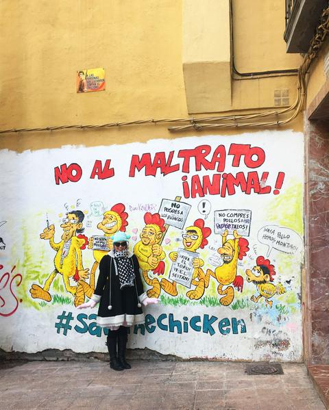 an animal rights mural in Zaragoza