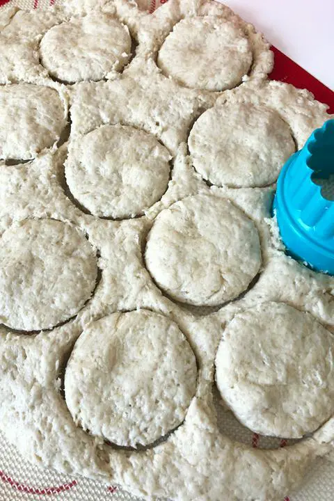 Cutting out the shortcake dough with a biscuit cutter