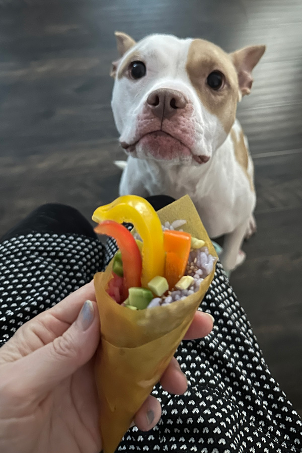 my dog macchiato wishing she could have this sushi cone