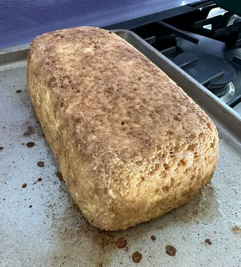 Vegan Thanksgiving Tofu Turkey just out of the oven