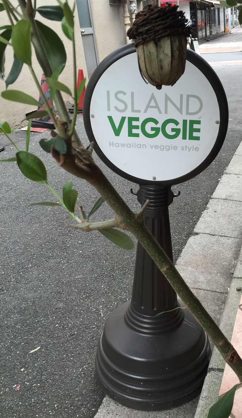 Island Veggie