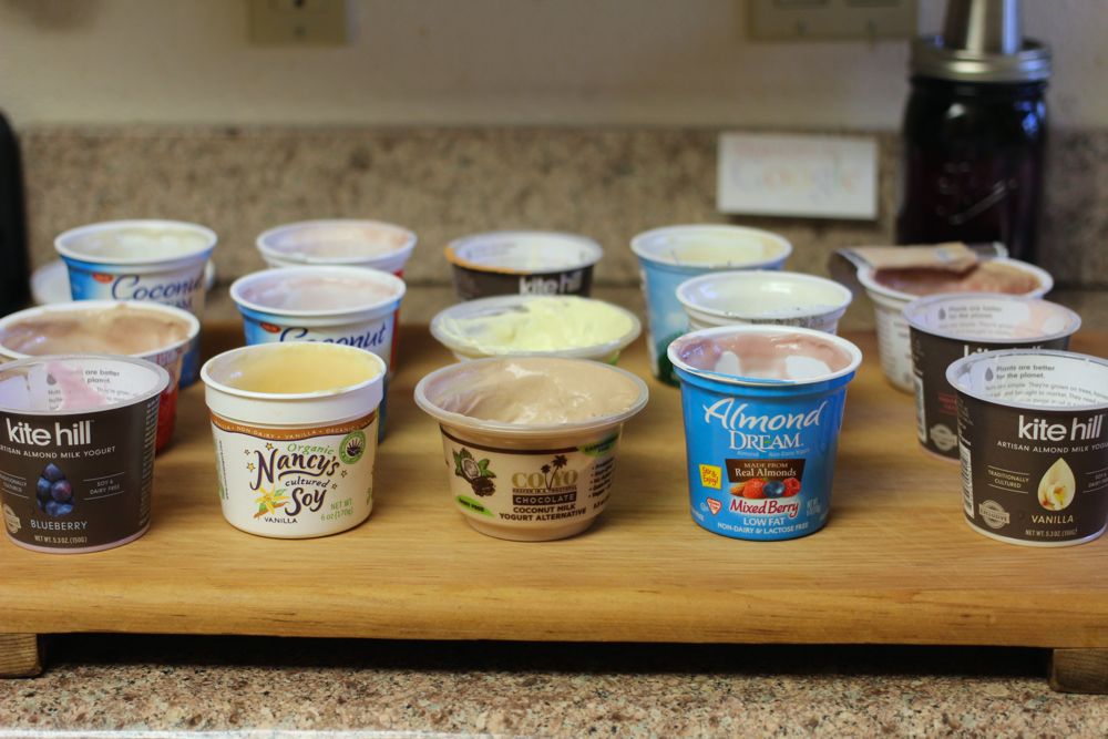 Vegan yogurt taste test